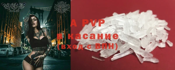 молекула духа Арсеньев