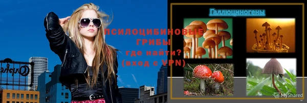 молекула духа Арсеньев