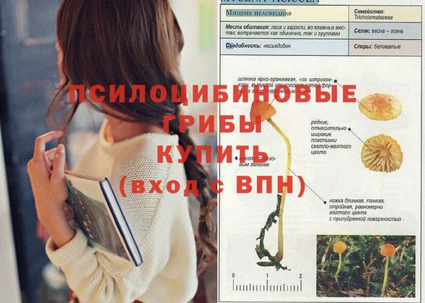 наркотики Баксан